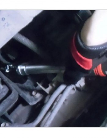 Master Palm Automotive 3/8